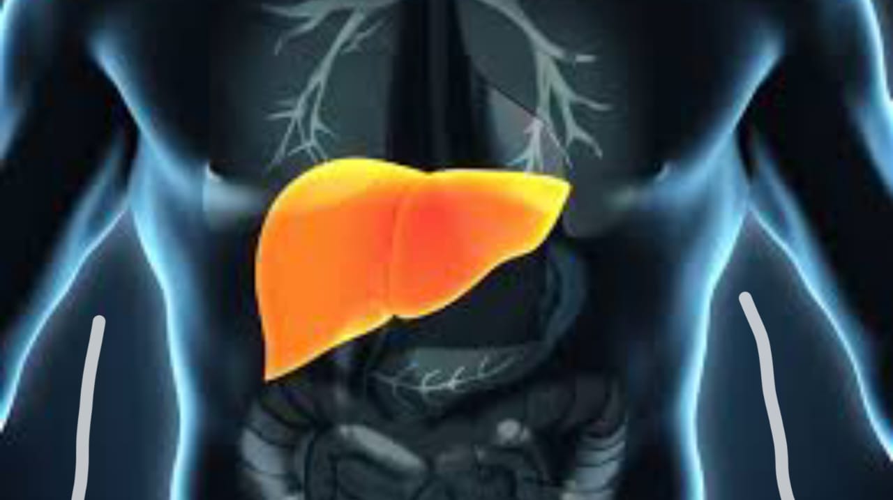 Fatty Liver
